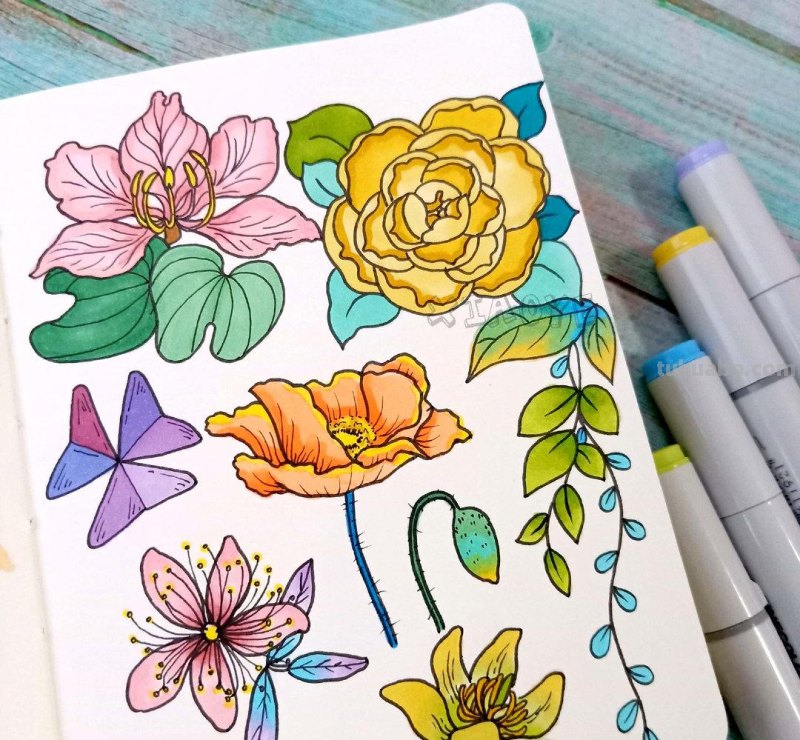 简约实用的小清新植物简笔画 作者：小野手绘