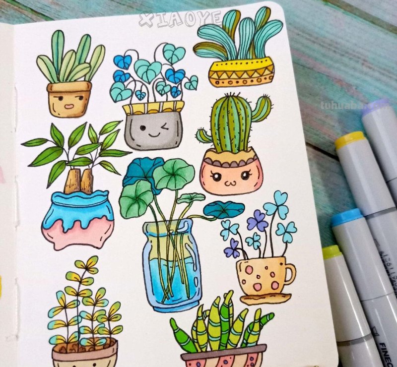 简约实用的小清新植物简笔画 作者：小野手绘