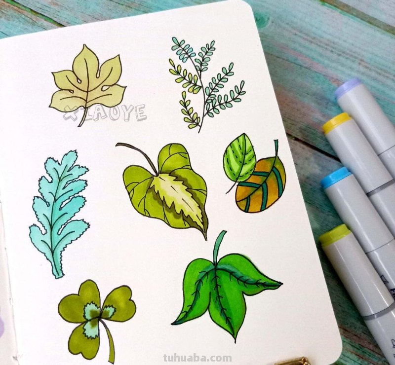 简约实用的小清新植物简笔画 作者：小野手绘