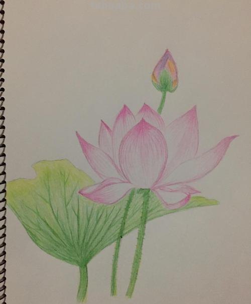 用彩铅怎么画夏天的画 夏天该怎么画？