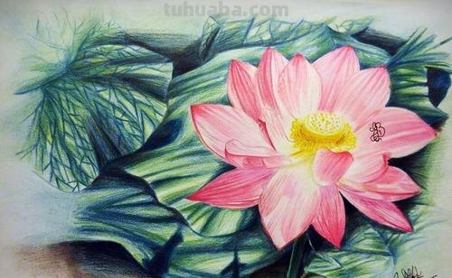 用彩铅怎么画夏天的画 夏天该怎么画？