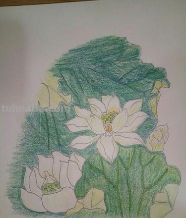 用彩铅怎么画夏天的画 夏天该怎么画？