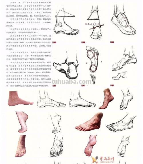 速写脚踝结构 速写十个技巧？