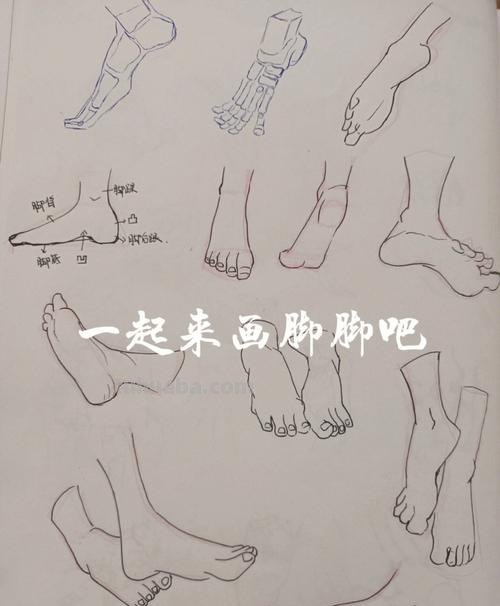 速写脚踝结构 速写十个技巧？