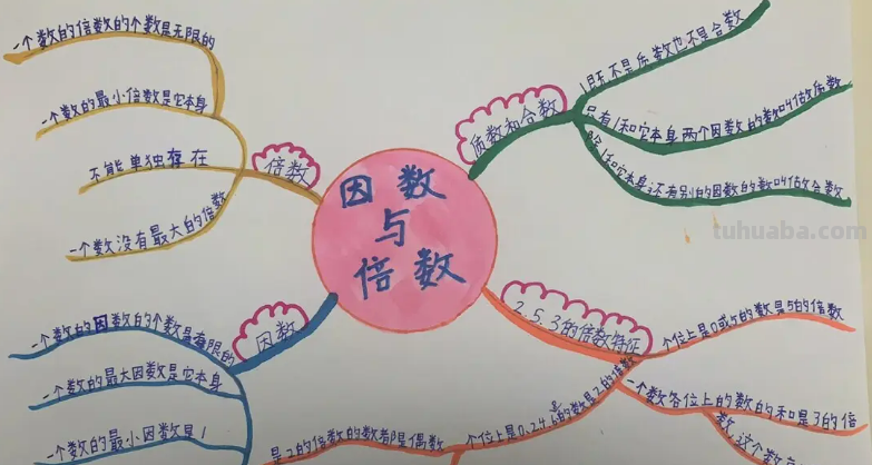 小学因数是什么意思