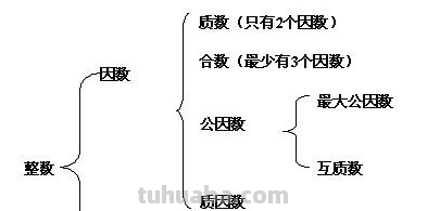 因数是什么意思?
