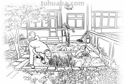 菜园怎么画简笔画儿 写一篇关于秋景的白描关于菜园?