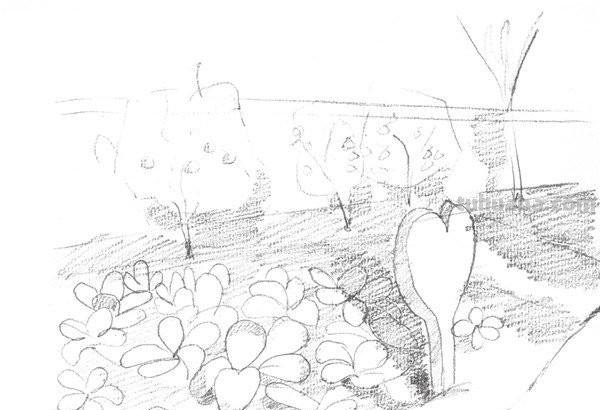 菜园怎么画简笔画儿 写一篇关于秋景的白描关于菜园?