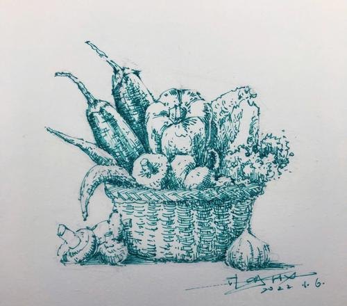 速写物品钢笔 画速写有什么推荐的钢笔？