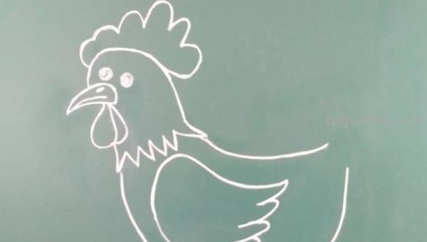 怎么画公鸡的简笔画 公鸡笔画顺序？