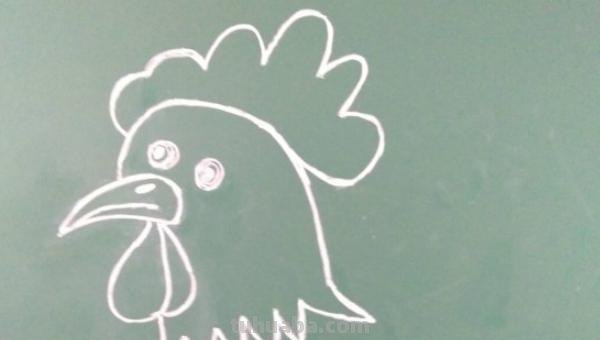 怎么画公鸡的简笔画 公鸡笔画顺序？