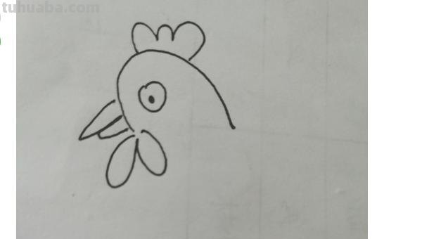 怎么画公鸡的简笔画 公鸡笔画顺序？