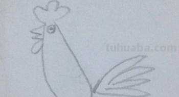 怎么画公鸡的简笔画 公鸡笔画顺序？