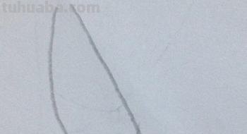 怎么画公鸡的简笔画 公鸡笔画顺序？