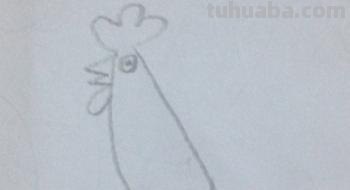 怎么画公鸡的简笔画 公鸡笔画顺序？