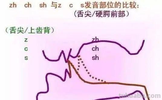 卷舌音和翘舌音的区别 卷舌音和翘舌音的区别视频