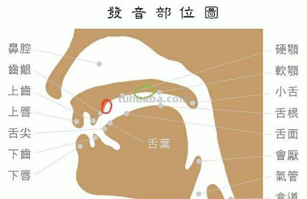 卷舌音跟翘舌音是不是一个意思?