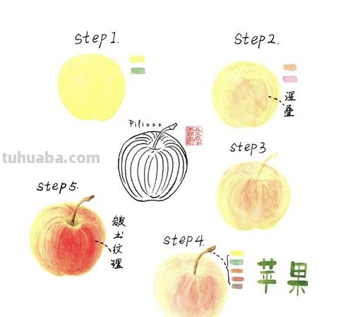 分解步骤，化繁为简的水彩过程~不打稿画画真的非常爽～