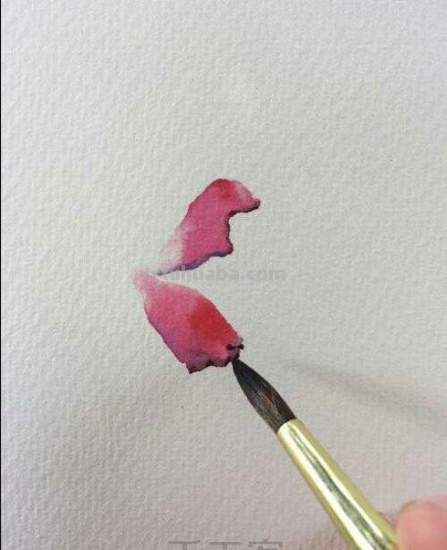 分解步骤，化繁为简的水彩过程~不打稿画画真的非常爽～