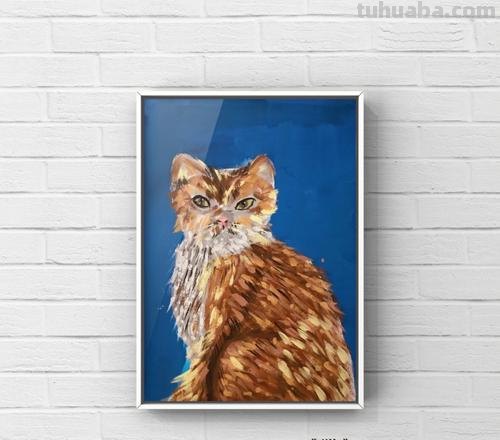 猫咪色彩及猫咪色彩画图片大全 