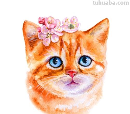 猫咪色彩及猫咪色彩画图片大全 