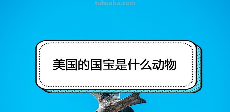美国的国宝是什么动物 美国的国宝是什么动物英文