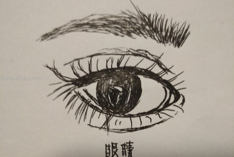 动漫眼睛怎么画简笔画 怎样画漫画人物的眼睛？