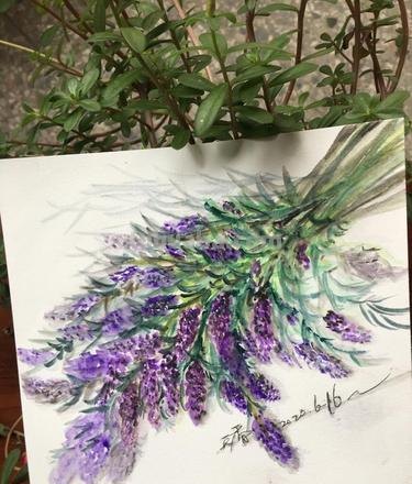 【薰衣草色彩画，如何用颜色表达浪漫情怀？】 