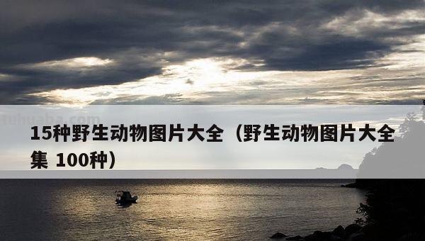 野生动物有哪些 野生动物有哪些图片及名称