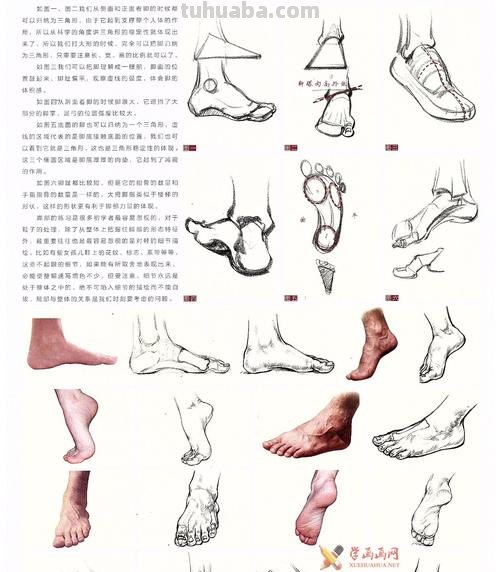 足部肌肉速写 联考速写没有画完脚怎么扣分？