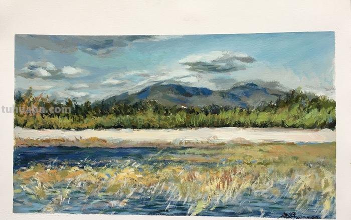 湖美色彩:丙烯画的最佳选择