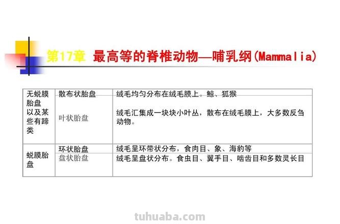 哺乳动物的主要特征 哺乳动物的主要特征及进化特征