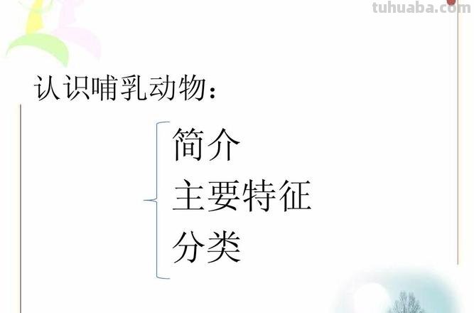 哺乳动物的主要特征 哺乳动物的主要特征及进化特征