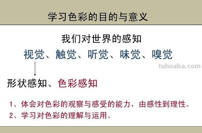 色彩的气味：用嗅觉感受色彩的世界 