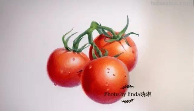 彩铅画小白水果怎么画 水果蔬菜彩铅画教程？