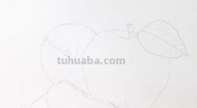 彩铅画小白水果怎么画 水果蔬菜彩铅画教程？