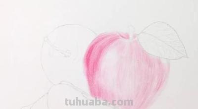 彩铅画小白水果怎么画 水果蔬菜彩铅画教程？