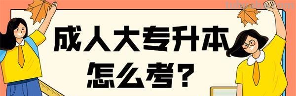 大专升本科怎么考 成人大专升本科怎么考