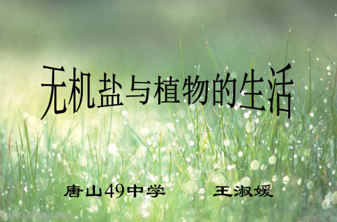 无机盐的作用是什么 植物无机盐的作用是什么