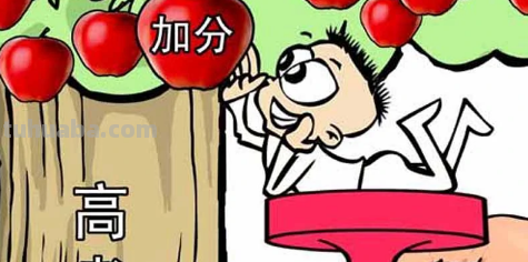 高考能加分的项目是哪些