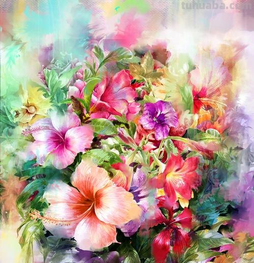 缤纷色彩，绘就美丽花卉——色彩画花卉及色彩画花卉图片大全 