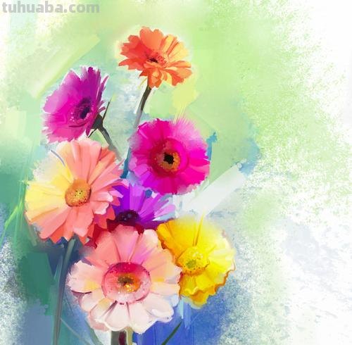 缤纷色彩，绘就美丽花卉——色彩画花卉及色彩画花卉图片大全 
