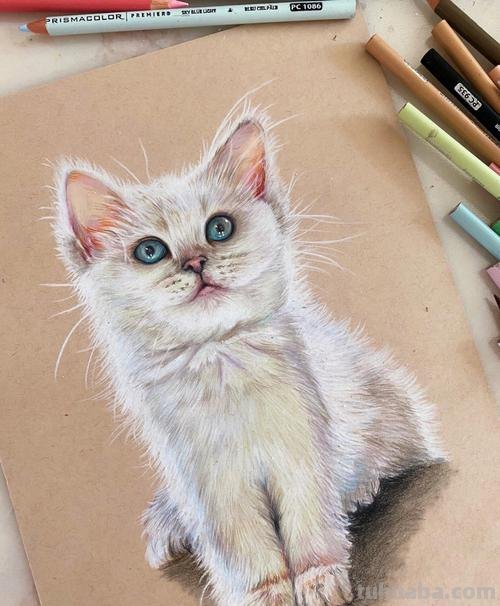 怎么样画彩铅画猫 小猫画画教程？
