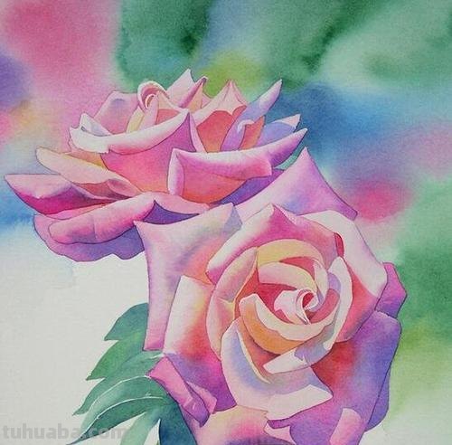 如何用色彩画出美丽的花朵？——花朵画色彩及花朵色彩画法 