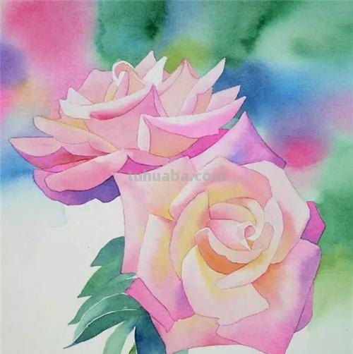 如何用色彩画出美丽的花朵？——花朵画色彩及花朵色彩画法 