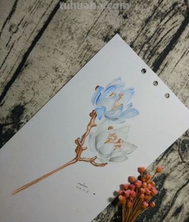 用彩铅画古风图案怎么画 书签怎么做古风彩铅？
