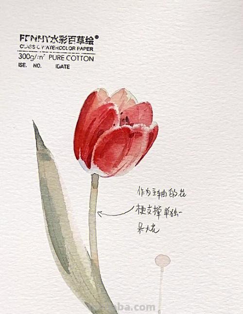 (干货)超详细的水彩绘画教程