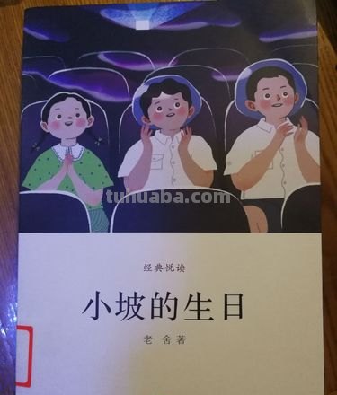 小坡的生日的读书卡怎么写 《小坡的生日》的主要内容？
