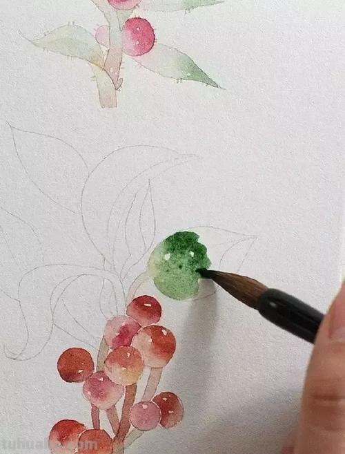 (干货)超详细的水彩绘画教程