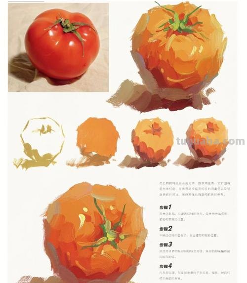 色彩西红柿的画法及色彩西红柿的画法步骤图调色 